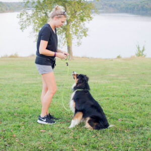 Day Training - Image 3