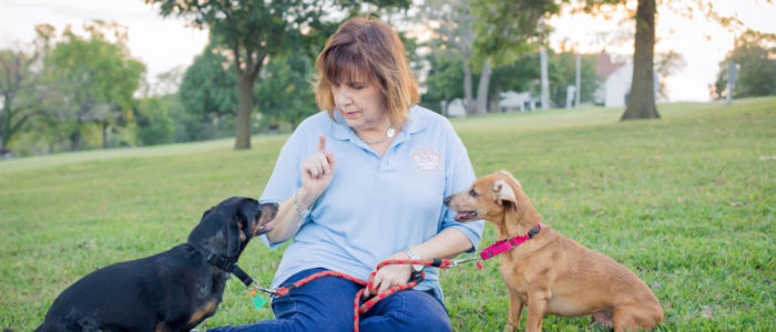Marsha - D.O.G. Obedience Group - Trainer