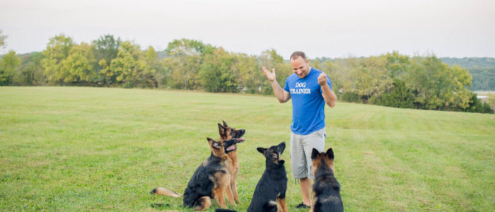 Chris White - D.O.G. Obedience Group Owner and Trainer