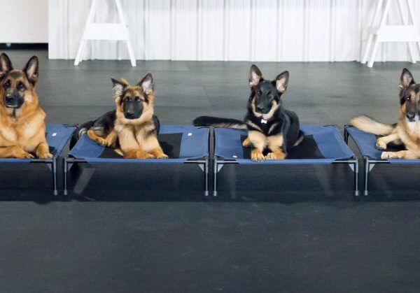 Have you heard about our newest class?