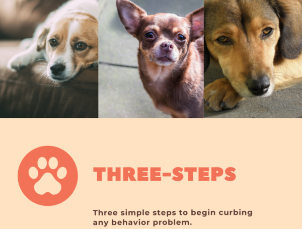 Dealing with Problematic Behaviors