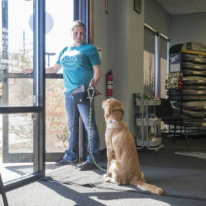 DOG Obedience Group - Day Training