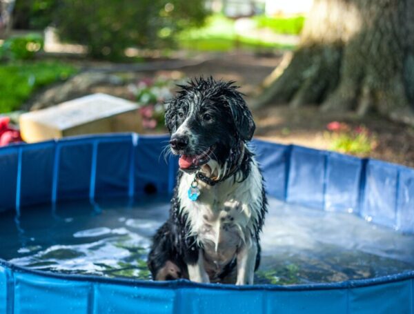 Beat the Heat with Cool Summer Fun