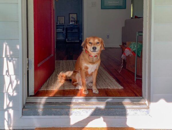 Doorway Courtesy Matters