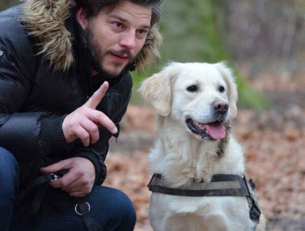 Communication For the Win