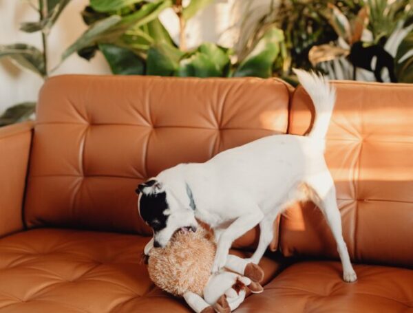 Should We SAVE “NO” For Shoes and TV Remotes?