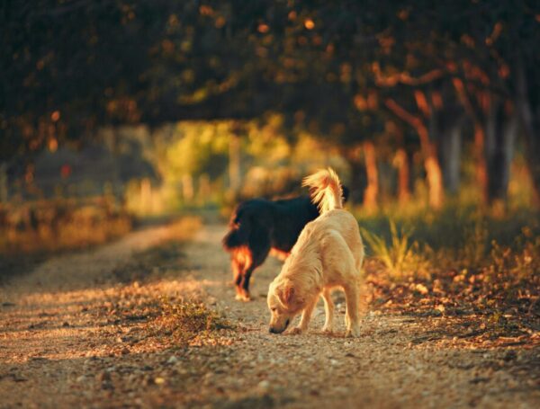 Exercise for the Mind