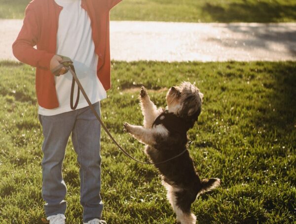 Consistency and Communication in Training