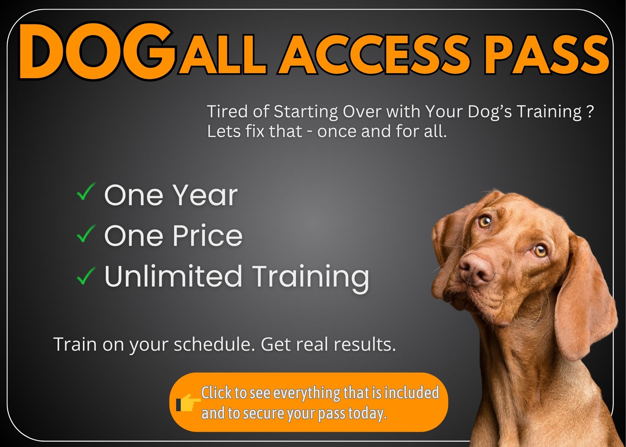 How Much is Obedience Training for Dogs: Cost Guide & Tips