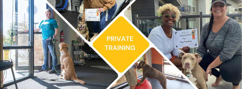 D.O.G. Obedience Group - Private Classes