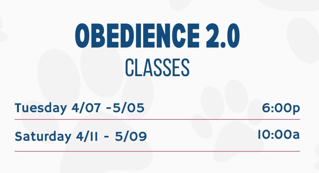 group dog training class in Blue Springs, MO